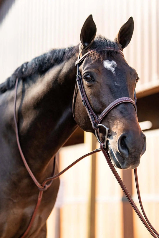 Huntley Equestrian Fancy Stitched Schooling Hunter Bridle with Reins