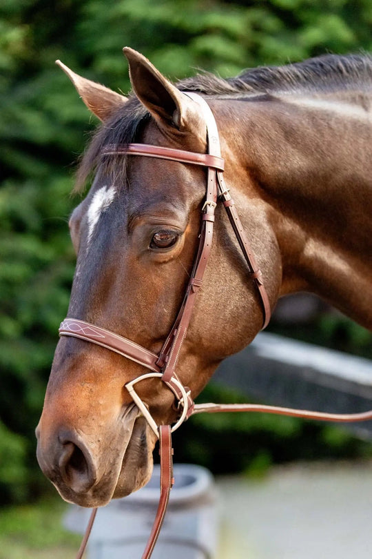 Huntley Equestrian Fancy Stitched Schooling Hunter Bridle with Reins
