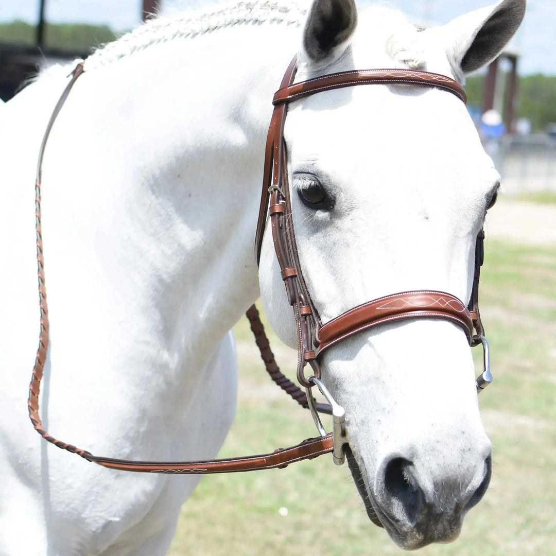 Huntley Equestrian Sedgwick Fancy Stitched Square Raised Hunter Bridle with Reins