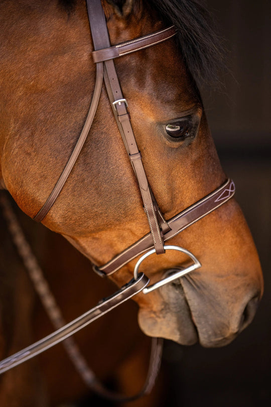 Huntley Equestrian Sedgwick Fancy Stitched Square Raised Hunter Bridle with Reins