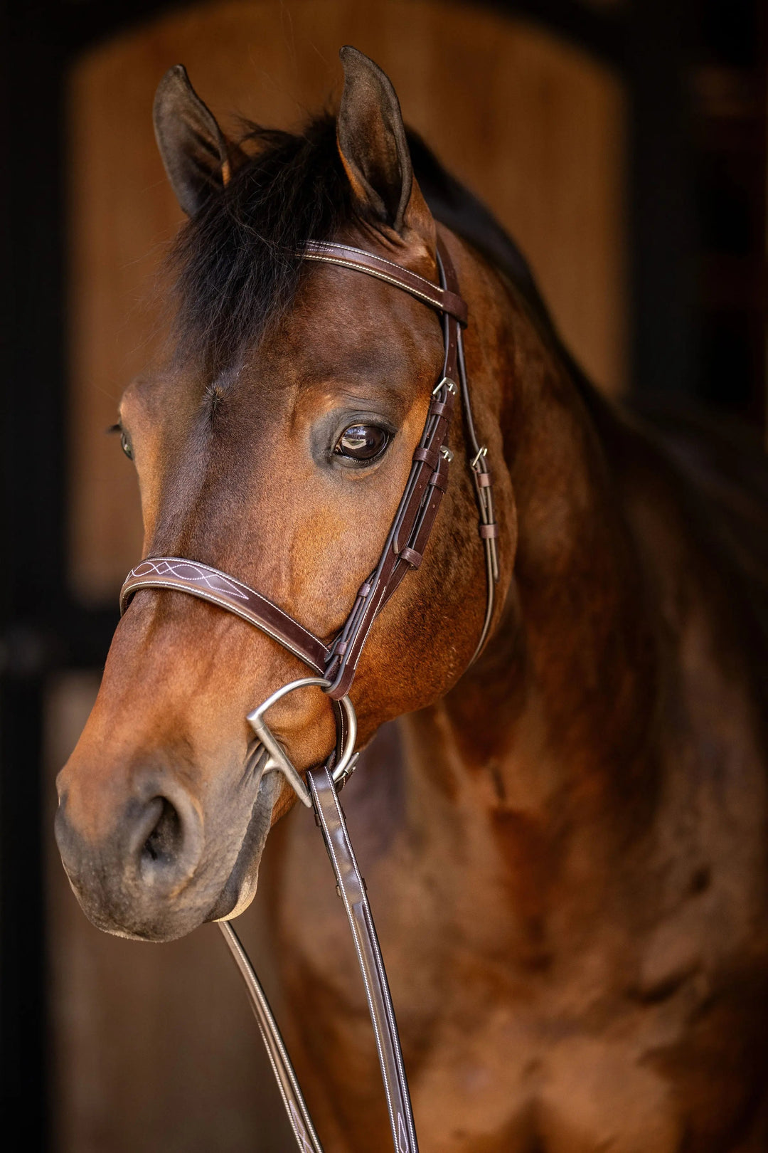 Huntley Equestrian Sedgwick Fancy Stitched Square Raised Hunter Bridle with Reins