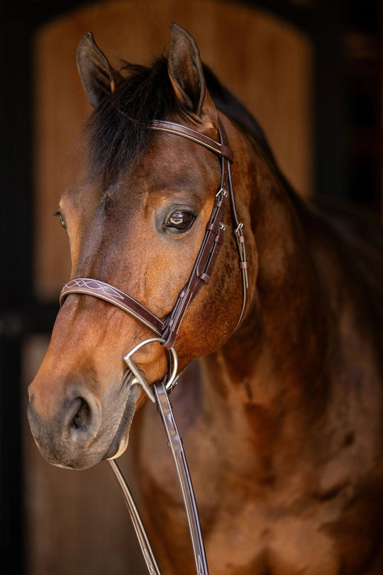Huntley Equestrian Sedgwick Fancy Stitched Square Raised Hunter Bridle with Reins